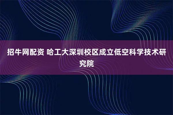 招牛网配资 哈工大深圳校区成立低空科学技术研究院