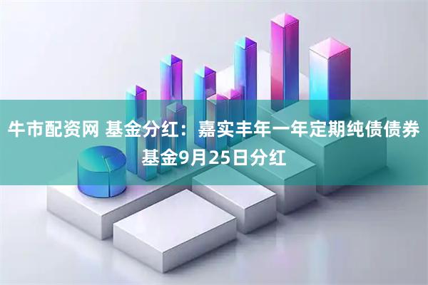 牛市配资网 基金分红：嘉实丰年一年定期纯债债券基金9月25日分红