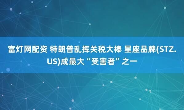 富灯网配资 特朗普乱挥关税大棒 星座品牌(STZ.US)成最大“受害者”之一