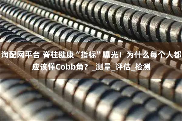 淘配网平台 脊柱健康“指标”曝光！为什么每个人都应该懂Cobb角？_测量_评估_检测