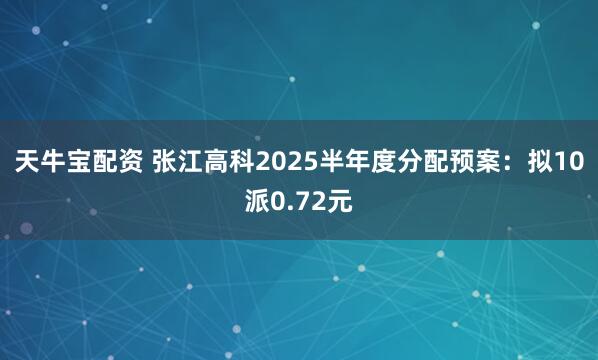 天牛宝配资 张江高科2025半年度分配预案：拟10派0.72元